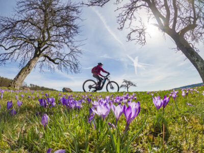 Foto: iStock/GettyImages (Bild vergrößern)