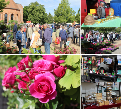 Pflanzen- und Kreativmarkt in Wriezen – Ein voller Erfolg!