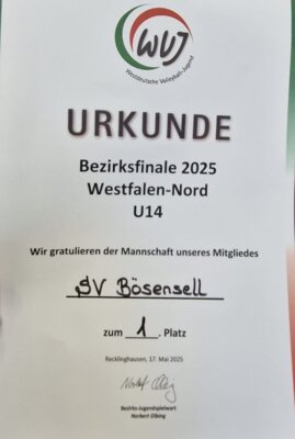 Volleyballnachwuchs wird sensationell Bezirksmeister (Bild vergrößern)