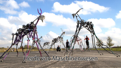 Foto zur Meldung: Programm zum Jubiläums-Stadtfest in Lauchhammer jetzt online