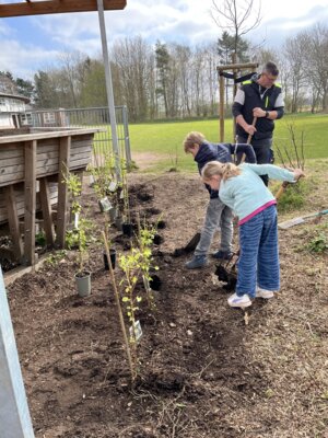 Foto zur Meldung: Bepflanzung des Outdoor-Klassenzimmers