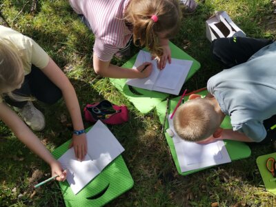 Draußenschule im Frühling