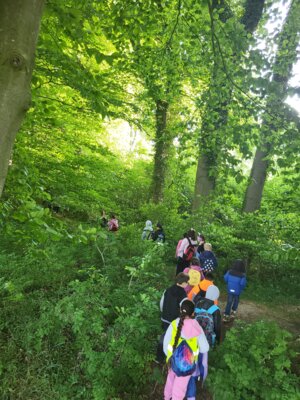 Meldung: Naturerfahrungen