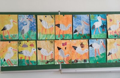 Klasse 2c: ..... und sie fliegen wieder !