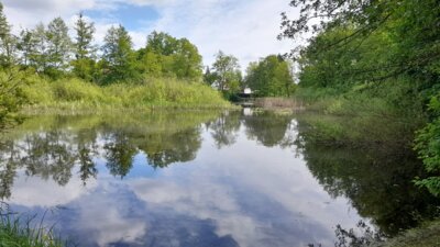 Großer Giebelsee Foto Manfred Ahrens