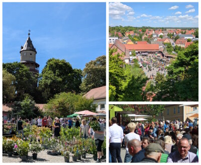 Rückblick auf einen gelungenen 23. Blumenmarkt (Bild vergrößern)