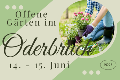 Offene Gärten im Oderbruch