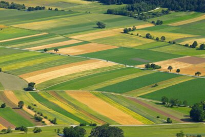 Foto: iStock/GettyImages (Bild vergrößern)