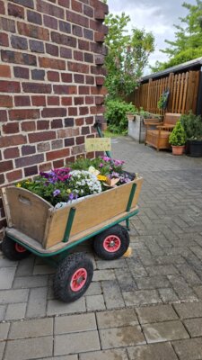 Meldung: Gartenprojekt WG Lerche