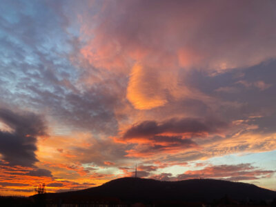 Startseite - bszloebau.de