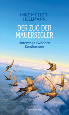 Meldung: Jetzt wieder erhältlich!