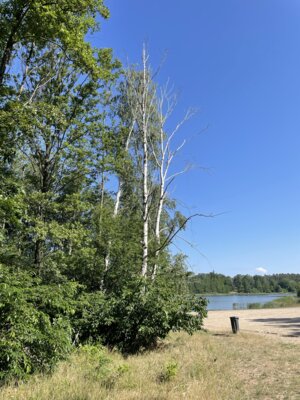 Radwanderweg, Oder, Neiße, Guben, Kerkwitz, Camping, Gubener Badewanne