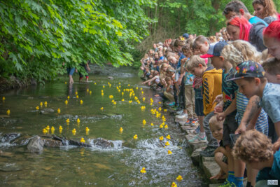 Kinderfest mit Entenrennen (Bild vergrößern)