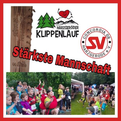 Titel verteidigt als stärkste Mannschaft  - viele gute Einzelplatzierungen