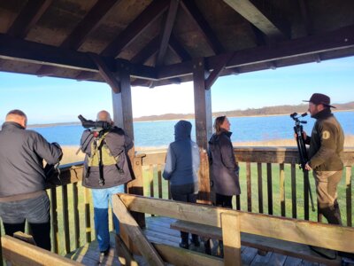 Foto zur Meldung: REGION: Vogelbeobachtung mit Weitblick – Birdwatching an der Groß Schauener Seenkette