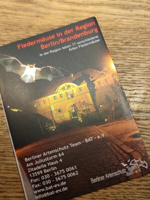 Meldung: Ausflug Zitadelle Klasse 3c