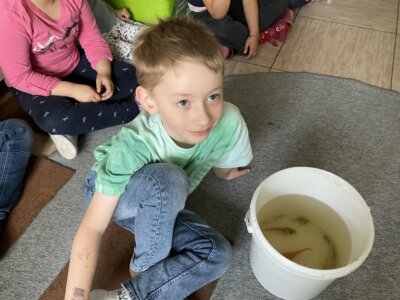 Noch mehr tierische Besuche