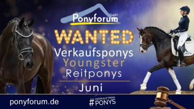 Ponyforum GmbH: Verkaufsponys gesucht!