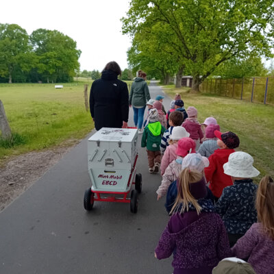 Mit dem MINT - Bollerwagen unterwegs: Ein Tag voller Entdeckungen mit der Robben- und Waldmäuse-Gruppe
