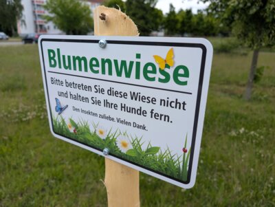 Foto zur Meldung: Gute Bedingungen für die summenden Einwohner von Calau