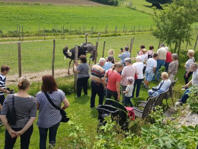 Der diesjährige Seniorenausflug führte zum Straußenhof in Badendorf. (Bild vergrößern)
