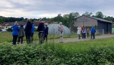 Foto: NVG Gelnhaar (Bild vergrößern)