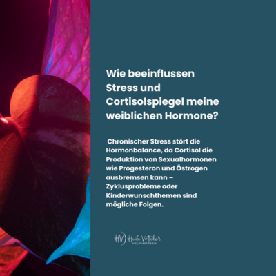Meldung: Wie chronischer Stress und erhöhte Cortisolspiegel deine weiblichen Hormone aus dem Gleichgewicht bringen