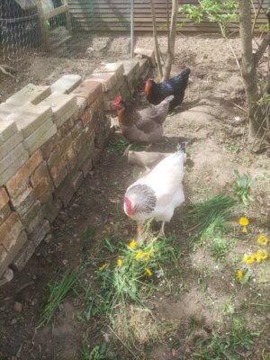 Ferienbetreuung zu Ostern