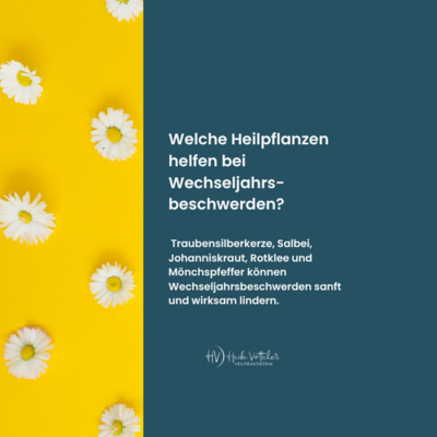 Meldung: Heilpflanzen für die Wechseljahre - sanfte Unterstützung aus der Natur