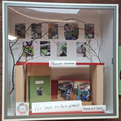 Ein Buch über Pflanzen - von Hanna und Sophie aus der 4a
