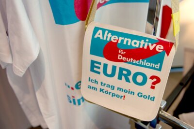 Die AfD (Bild vergrößern)