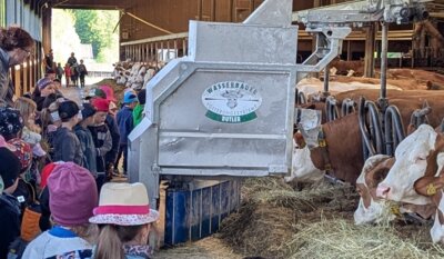 Foto zur Meldung: Prackenbacher Kindergartenkinder besuchten Bauernhof