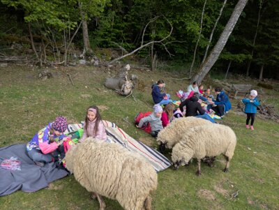Foto zur Meldung: Ministranten und Kinderchor machten gemeinsamen Ausflug zum Tiergnadenhof in Zell