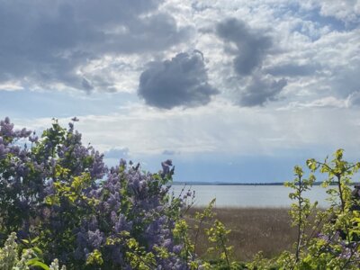 Der Kummerower See ist der viertgrößte See in Mecklenburg-Vorpommern. Entlang des Ostufers führt ein Naturerlebnispfad.