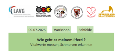" Wie geht es meinem Pferd", Vitalwerte messen und Schmerzen erkennen