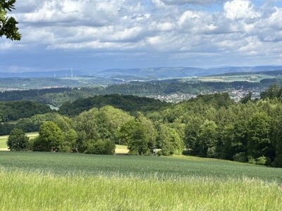 Weitsicht bis zum Brocken (Bild vergrößern)