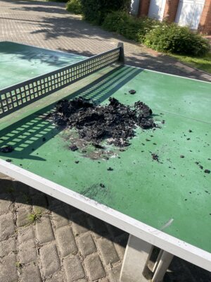 Sperrung des Schulzentrums Steinkirchen wegen Vandalismus und Brandstiftung (Bild vergr&ouml;&szlig;ern)