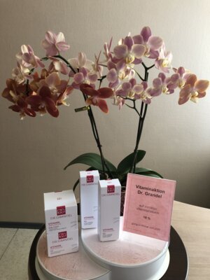 Vitaminaktion (Bild vergr&ouml;&szlig;ern)