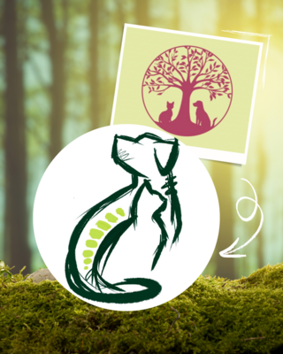 Meldung: Ein neues Logo für meine Praxis – warum?