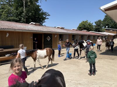 Klassenfahrt der Klassen 3 nach Eggersmühlen (Bild vergrößern)