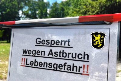 Folgend des Unwetters: Auerbachs Parkanlagen sind gesperrt (Bild vergrößern)