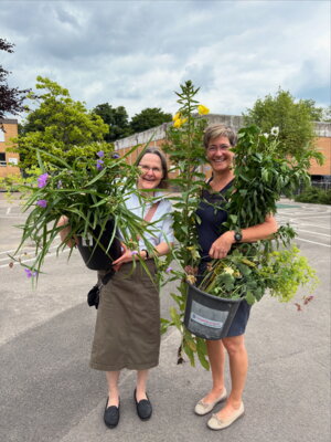 Grüner Austausch mit dem Comenius-Gymnasium – Stauden für einen nachhaltigen Schulgarten