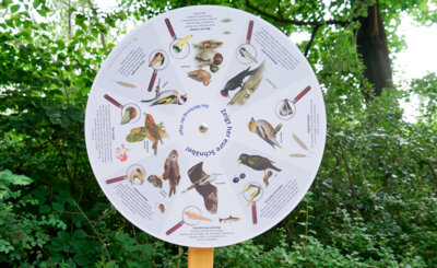 Inselzoo: Lehrpfad mit drei neuen Stationen - Wie tickt die Vogeluhr?