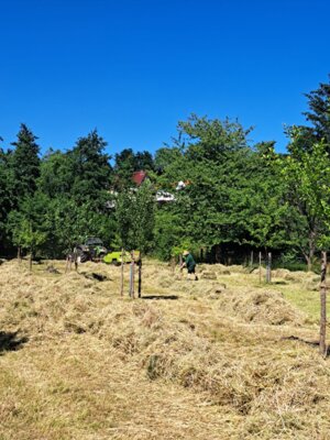 Heuarbeit vor der Werkstatt des Heimatvereins