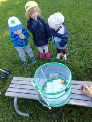 Schmetterling du kleines Ding.... Projekt unserer Krippenkinder