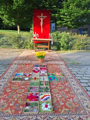 Blumenteppich im Pizzakarton