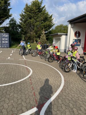 Kängurus fahren auch Fahrrad