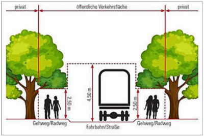 Rüchschnitt von Überhangbewuchs (Bild vergrößern)