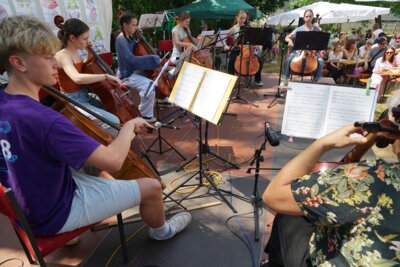 Großes Schulfest am Samstag im Musikschulgarten in Steinheim