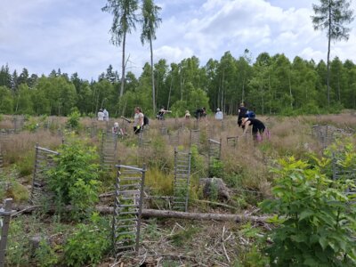 23.06.2025 Aktionstag für vielfältige Wälder, Foto: LPV TSOS